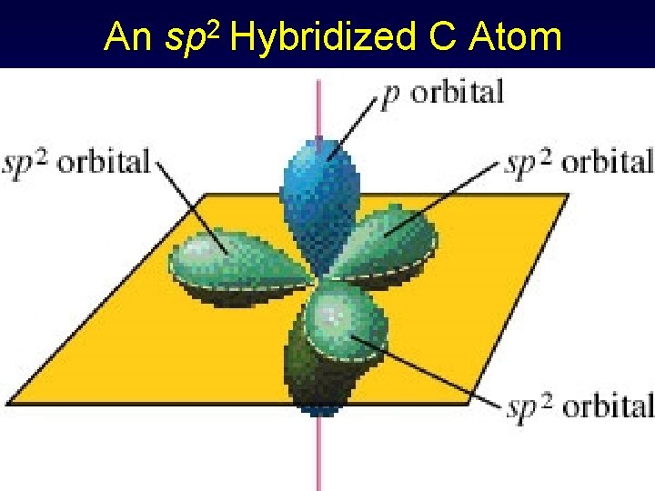 An sp 2 Hybridized C Atom 