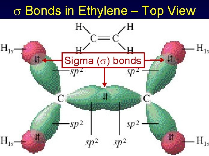  Bonds in Ethylene – Top View Sigma ( ) bonds 