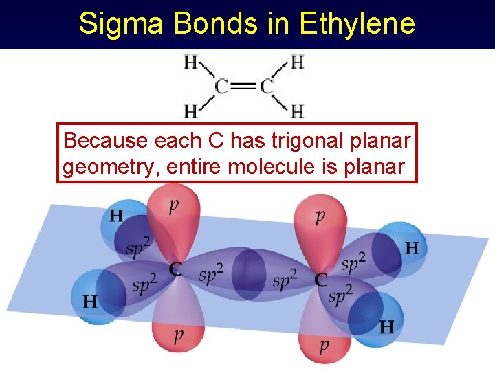 Sigma Bonds in Ethylene Because each C has trigonal planar geometry, entire molecule is