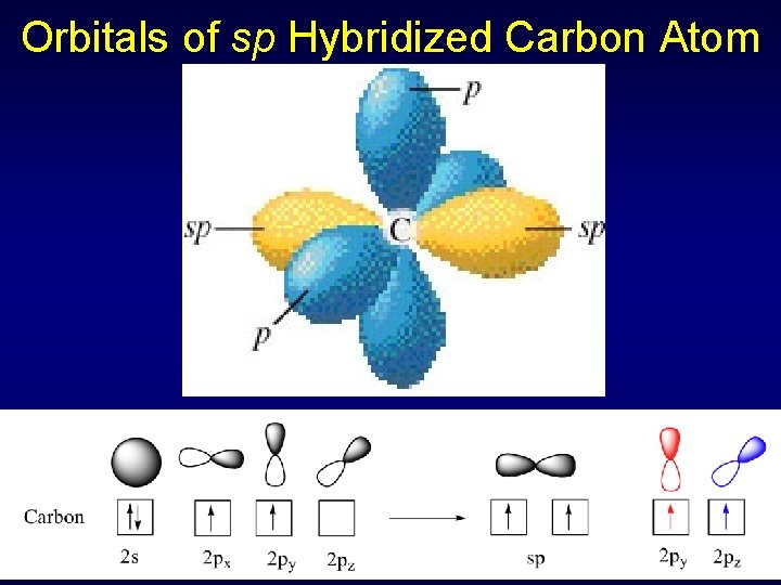 Orbitals of sp Hybridized Carbon Atom 