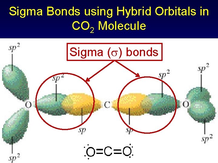 Sigma Bonds using Hybrid Orbitals in CO 2 Molecule Sigma ( ) bonds 
