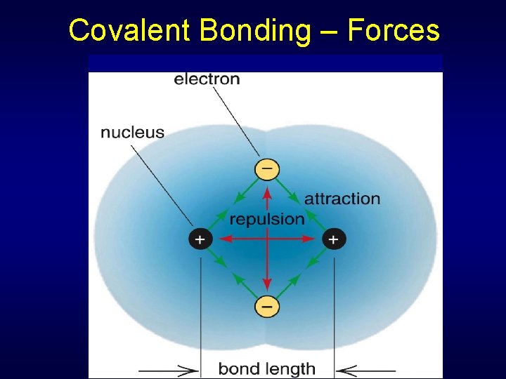 Covalent Bonding – Forces 