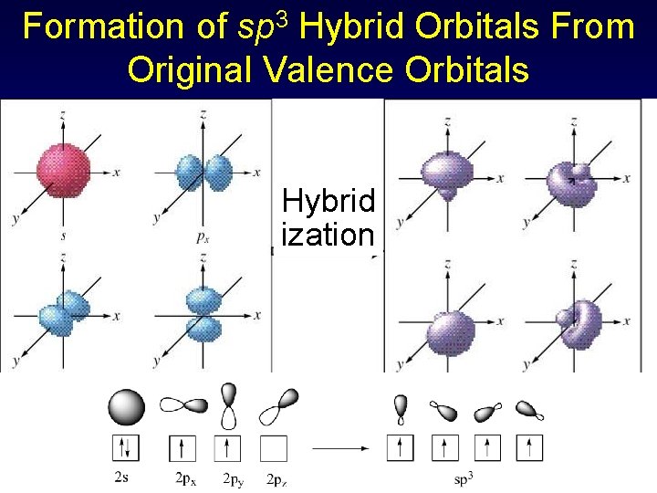 Formation of sp 3 Hybrid Orbitals From Original Valence Orbitals Hybrid ization 