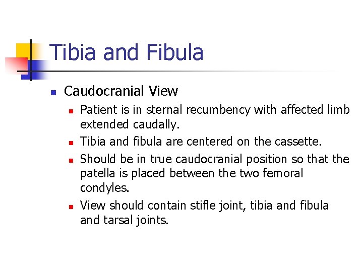Tibia and Fibula n Caudocranial View n n Patient is in sternal recumbency with