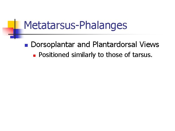Metatarsus-Phalanges n Dorsoplantar and Plantardorsal Views n Positioned similarly to those of tarsus. 
