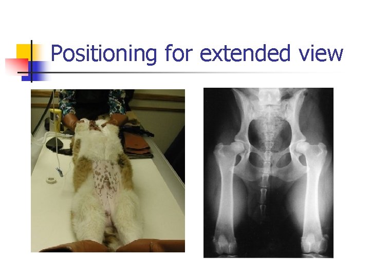 Positioning for extended view 