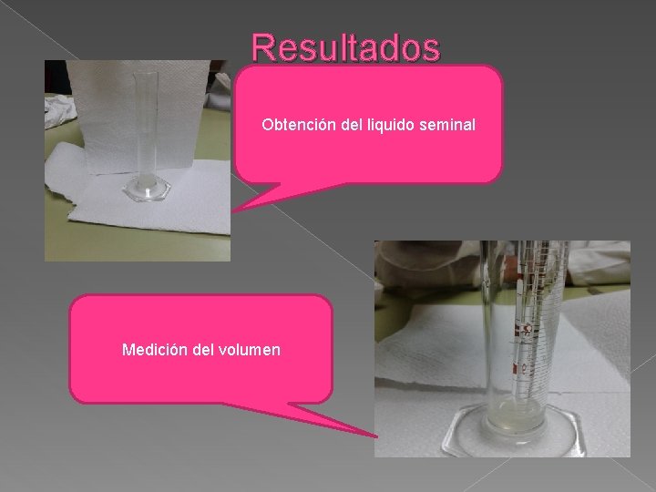 Resultados Obtención del liquido seminal Medición del volumen 