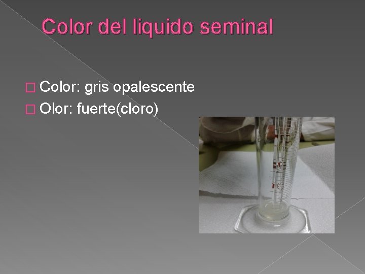 Color del liquido seminal � Color: gris opalescente � Olor: fuerte(cloro) 