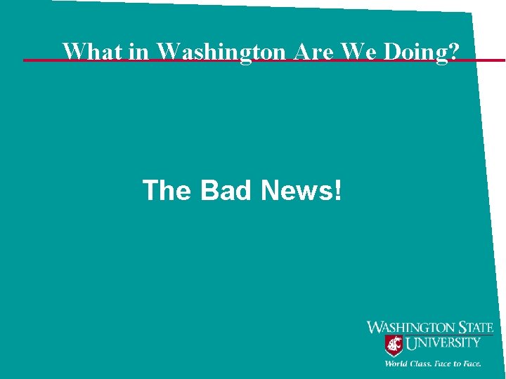 What in Washington Are We Doing? The Bad News! 