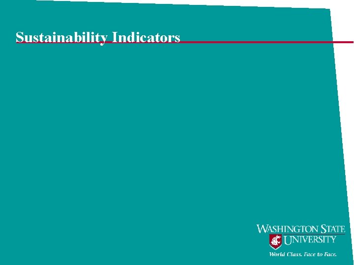 Sustainability Indicators 