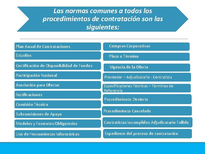 Las normas comunes a todos los procedimientos de contratación son las siguientes: Plan Anual