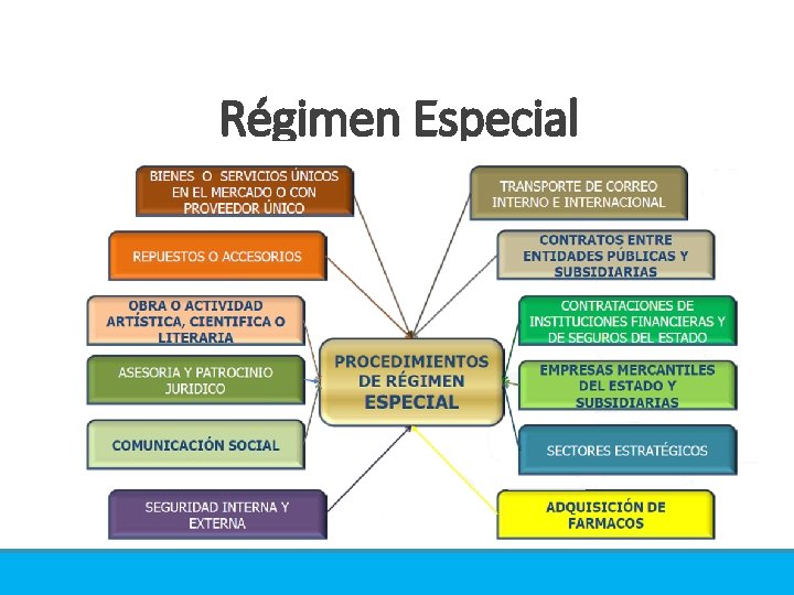 Régimen Especial 