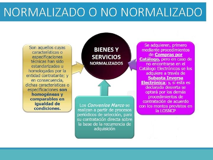 NORMALIZADO O NO NORMALIZADO 