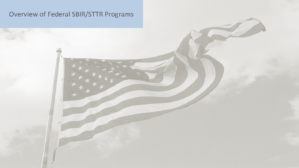 Overview of Federal SBIR/STTR Programs Office 