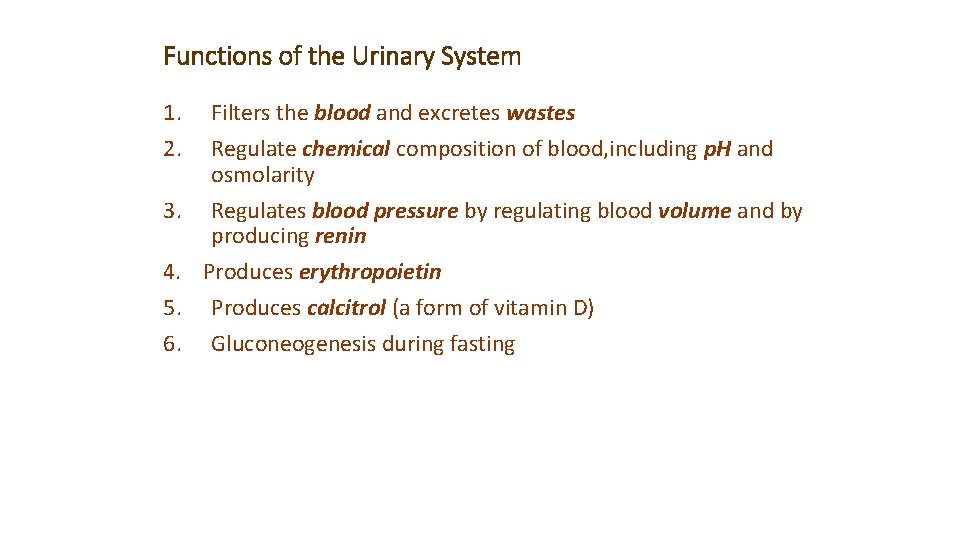 Functions of the Urinary System 1. 2. 3. 4. 5. 6. Filters the blood
