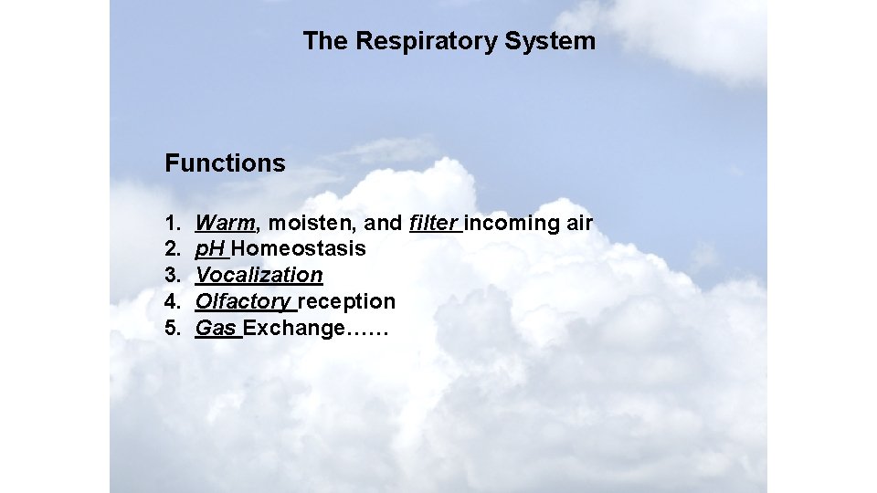 The Respiratory System Functions 1. 2. 3. 4. 5. Warm, moisten, and filter incoming