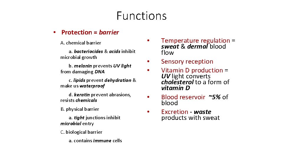Functions • Protection = barrier A. chemical barrier a. bacteriocides & acids inhibit microbial