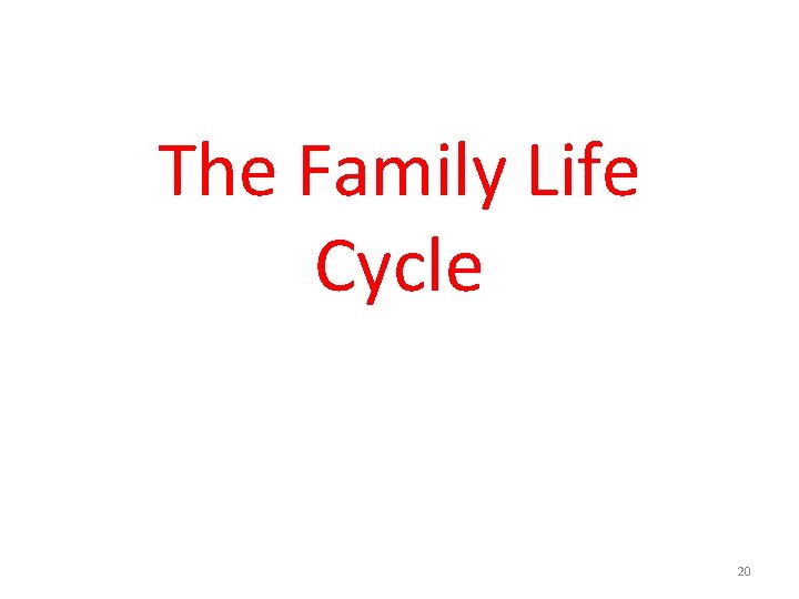 The Family Life Cycle 20 