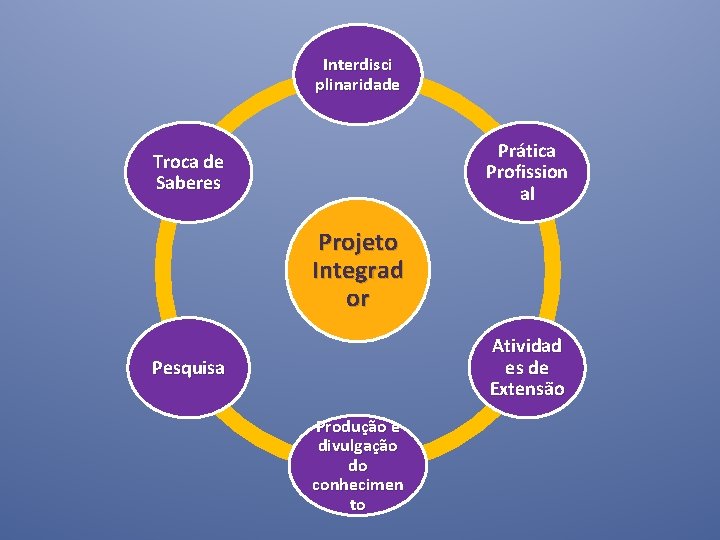 Interdisci plinaridade Prática Profission al Troca de Saberes Projeto Integrad or Atividad es de