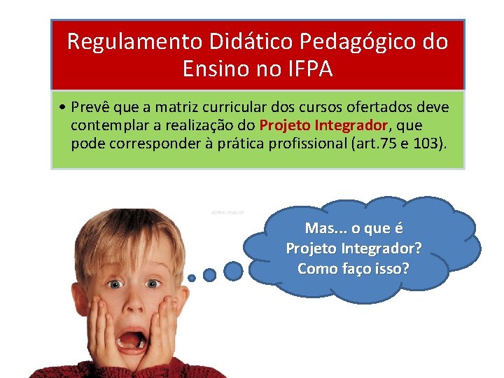 Regulamento Didático Pedagógico do Ensino no IFPA • Prevê que a matriz curricular dos