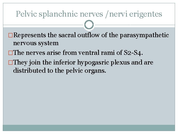 Pelvic splanchnic nerves /nervi erigentes �Represents the sacral outflow of the parasympathetic nervous system