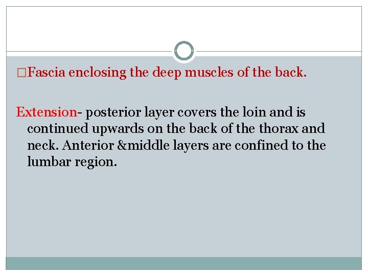 �Fascia enclosing the deep muscles of the back. Extension- posterior layer covers the loin