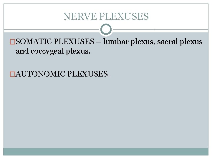 NERVE PLEXUSES �SOMATIC PLEXUSES – lumbar plexus, sacral plexus and coccygeal plexus. �AUTONOMIC PLEXUSES.