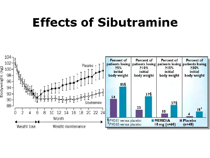 Effects of Sibutramine 