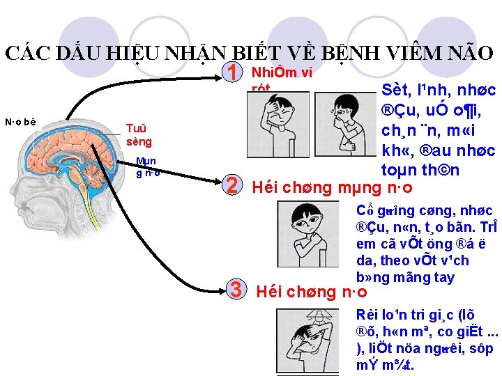 CÁC DẤU HIỆU NHẬN BIẾT VỀ BỆNH VIÊM NÃO 1 N·o bé Tuû sèng