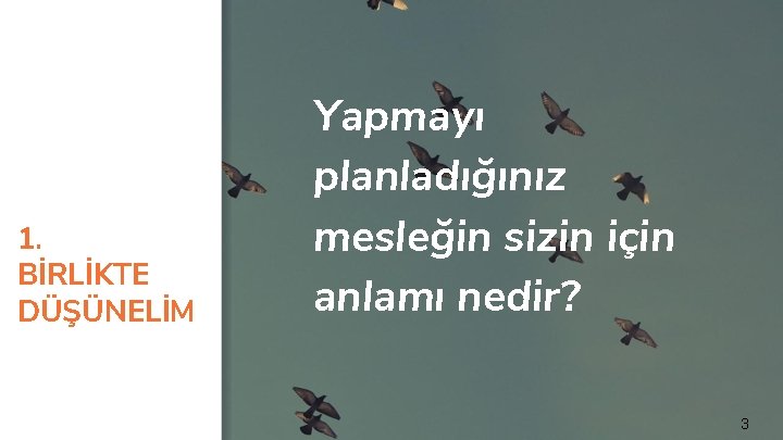 1. BİRLİKTE DÜŞÜNELİM Yapmayı planladığınız mesleğin sizin için anlamı nedir? 3 