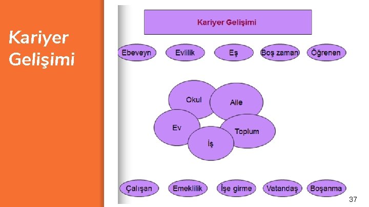 Kariyer Gelişimi 37 
