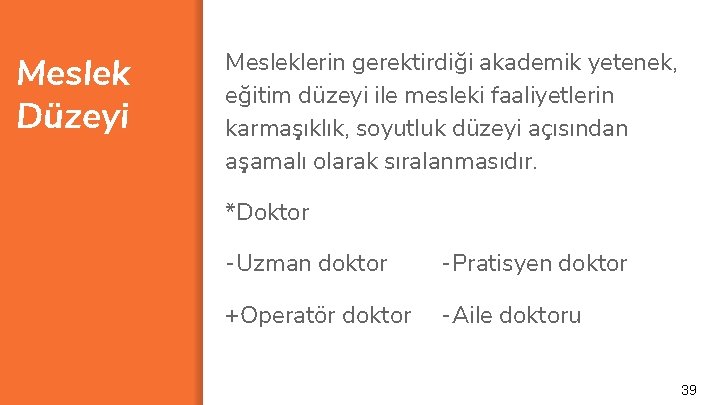 Meslek Düzeyi Mesleklerin gerektirdiği akademik yetenek, eğitim düzeyi ile mesleki faaliyetlerin karmaşıklık, soyutluk düzeyi