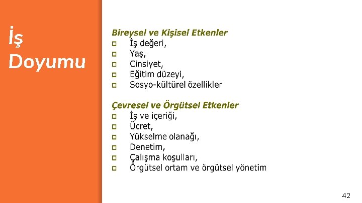 İş Doyumu 42 