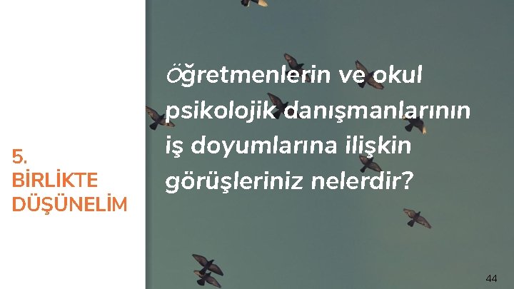 5. BİRLİKTE DÜŞÜNELİM Öğretmenlerin ve okul psikolojik danışmanlarının iş doyumlarına ilişkin görüşleriniz nelerdir? 44