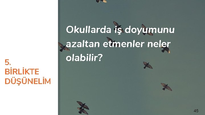 5. BİRLİKTE DÜŞÜNELİM Okullarda iş doyumunu azaltan etmenler neler olabilir? 45 