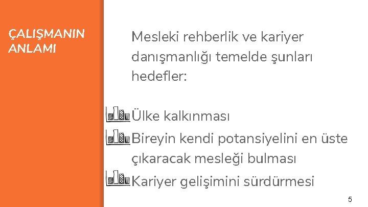 ÇALIŞMANIN ANLAMI Mesleki rehberlik ve kariyer danışmanlığı temelde şunları hedefler: Ülke kalkınması Bireyin kendi