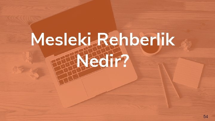 Mesleki Rehberlik Nedir? 54 