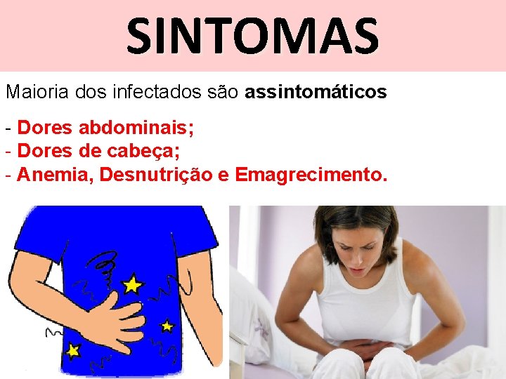 SINTOMAS Maioria dos infectados são assintomáticos - Dores abdominais; - Dores de cabeça; -