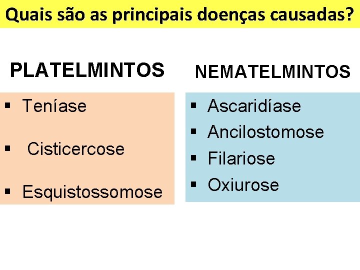 Quais são as principais doenças causadas? PLATELMINTOS § Teníase § Cisticercose § Esquistossomose NEMATELMINTOS