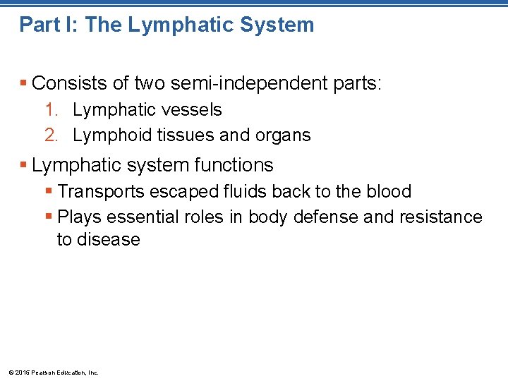 Part I: The Lymphatic System § Consists of two semi-independent parts: 1. Lymphatic vessels