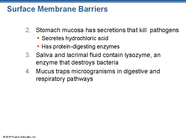 Surface Membrane Barriers 2. Stomach mucosa has secretions that kill pathogens § Secretes hydrochloric