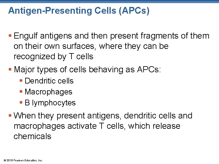 Antigen-Presenting Cells (APCs) § Engulf antigens and then present fragments of them on their
