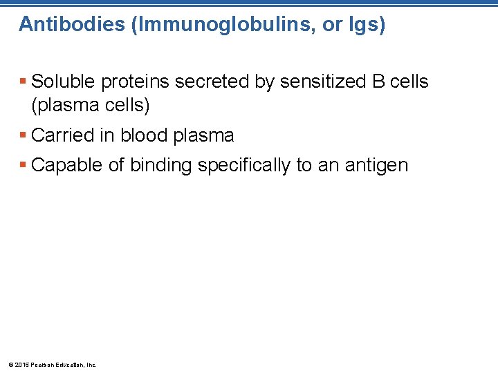 Antibodies (Immunoglobulins, or Igs) § Soluble proteins secreted by sensitized B cells (plasma cells)