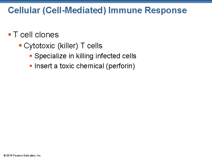 Cellular (Cell-Mediated) Immune Response § T cell clones § Cytotoxic (killer) T cells §