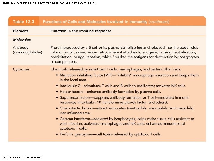 Table 12. 3 Functions of Cells and Molecules Involved in Immunity (3 of 4).