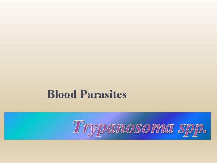 Blood Parasites Trypanosoma spp. 