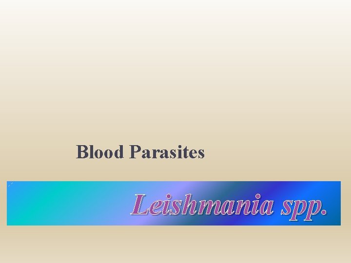 Blood Parasites Leishmania spp. 