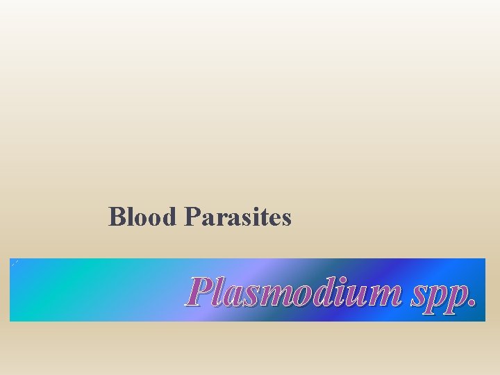 Blood Parasites Plasmodium spp. 