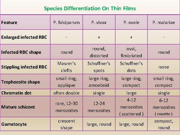  Species Differentiation On Thin Films Feature P. falciparum P. vivax P. ovale P.