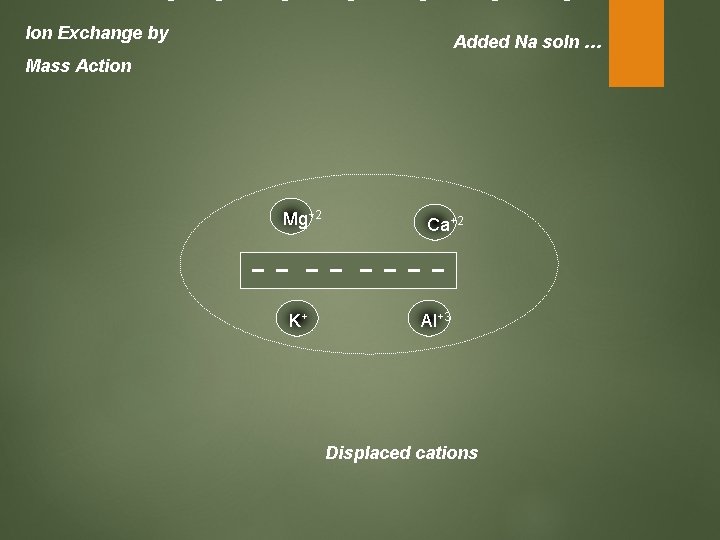 Ion Exchange by Added Na soln … Mass Action Mg+2 K+ Ca+2 Al+3 Displaced